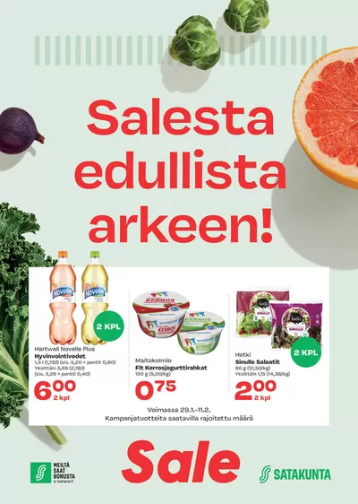 S-Market -luettelo, Porvoo | 290125_Sale | 29.1.2025 - 12.2.2025