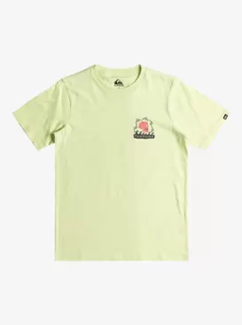 Porpoises ‑ Short Sleeves T-shirt for Boys 8 - 16 tuote hintaan 20€ liikkeestä Quiksilver